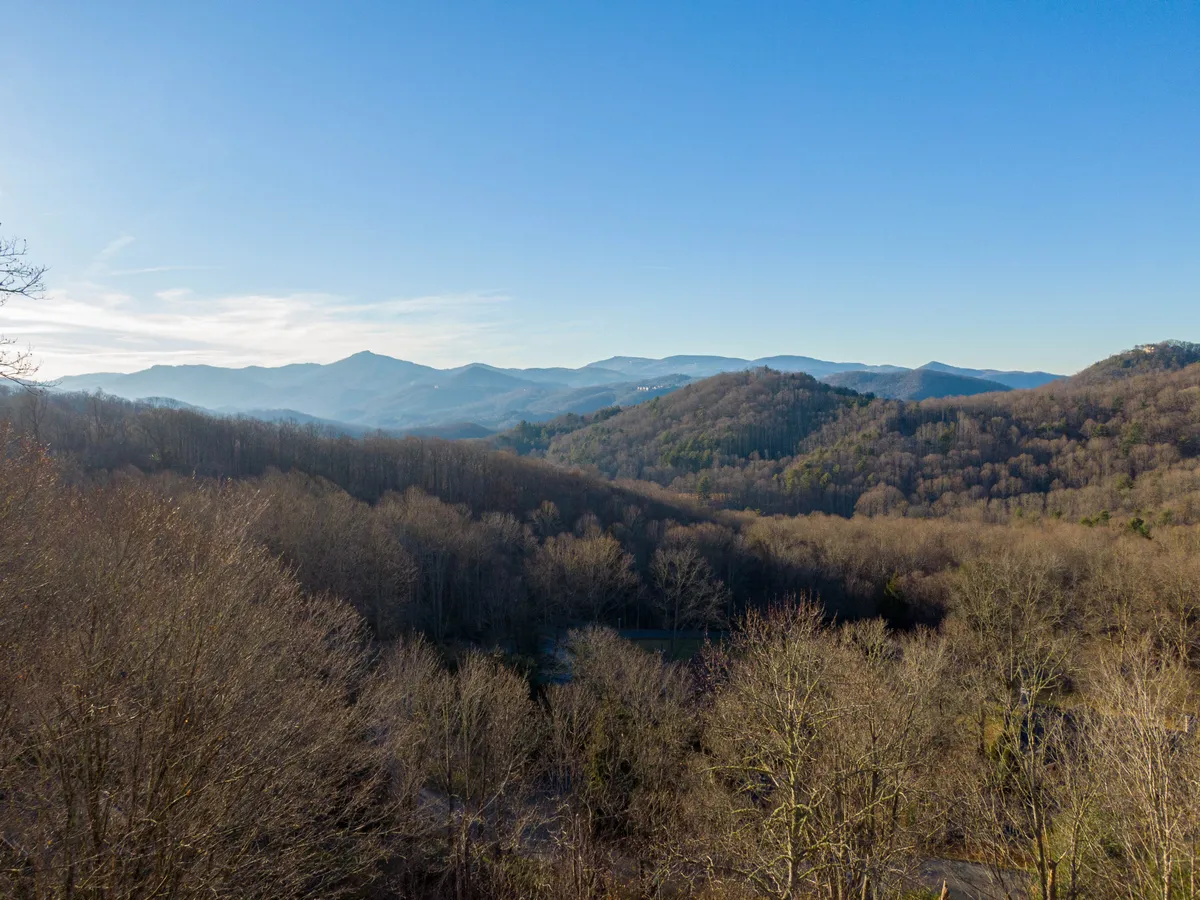 A sweeping view of a mountain range under clear blue skies, with lush green trees framing the scene. The sense of openness and tranquility captures the natural majesty of the area, evoking the promise of hiking, wildlife watching, and stargazing.